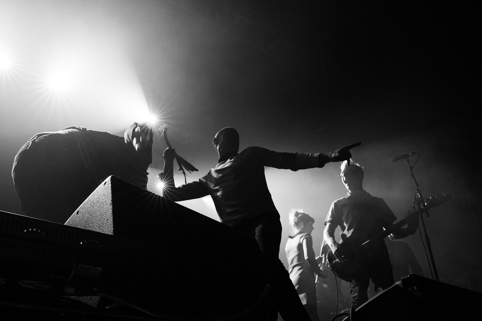 Washington Dead Cats – énergie brute